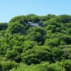 久能山城（静岡）を歩く：信玄の山城から家康の眠る聖地へ