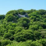 久能山城（静岡）を歩く：信玄の山城から家康の眠る聖地へ